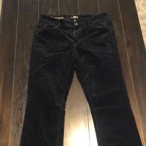 Loft Black corduroy - curvy sexy bootcut - size 29
